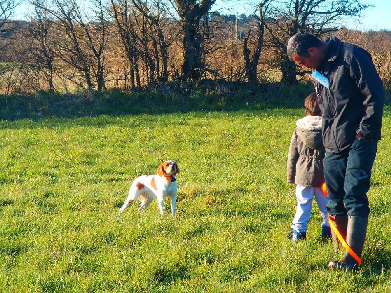 comptage de perdreaux Caylar 11 avril 2015