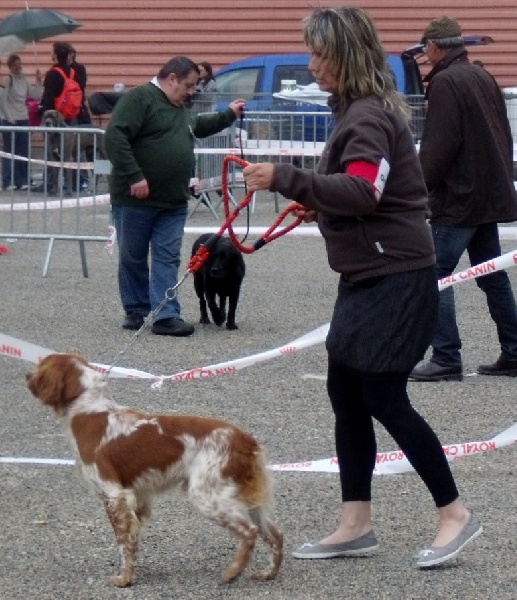 FILOU EXPO NATIONALE DE NIMES 20 MAI 2012